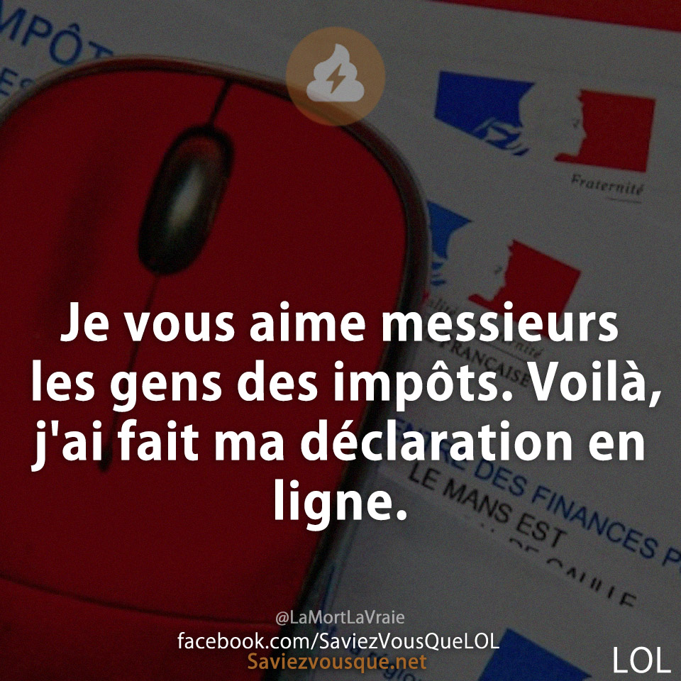 Je vous aime messieurs les gens des impôts. Voilà, j'ai fait ma déclaration en ligne.