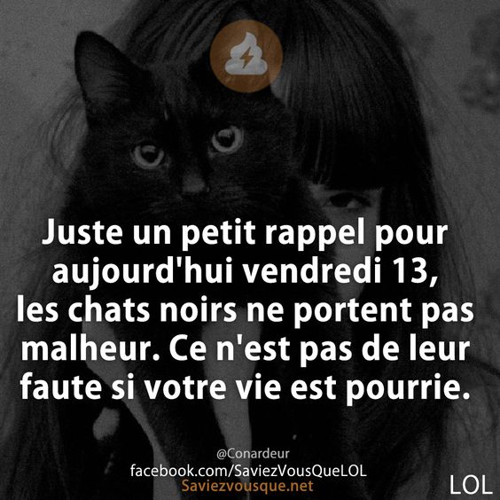 Juste un petit rappel pour aujourd&#039;hui vendredi 13, les chats noirs ne portent pas malheur. Ce n&#039;est pas de leur faute si votre vie est pourrie.