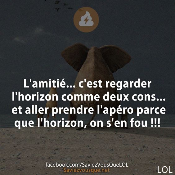 L&#039;amitié... c&#039;est regarder l&#039;horizon comme deux cons... et aller prendre l&#039;apéro parce que l&#039;horizon, on s&#039;en fou !!!