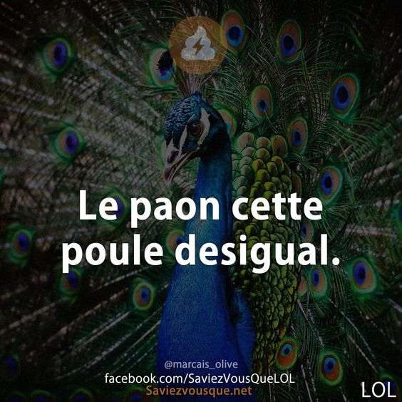 Le paon cette poule desigual.
