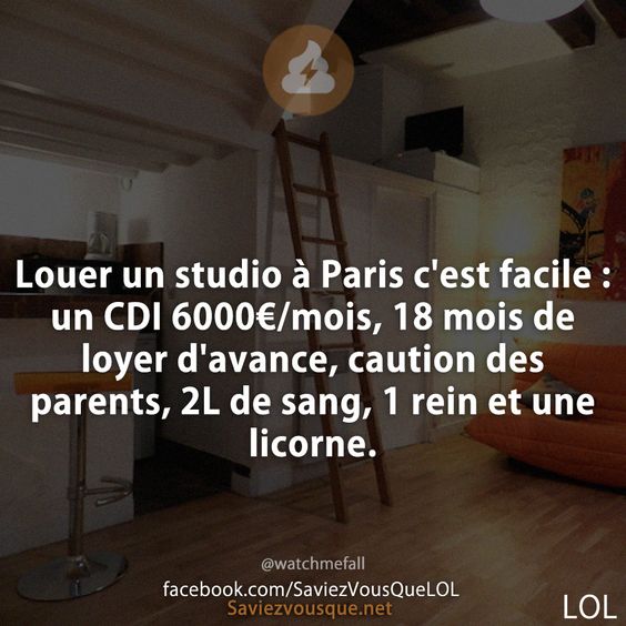 Louer un studio à Paris c&#039;est facile : un CDI 6000€/mois, 18 mois de loyer d&#039;avance, caution des parents, 2L de sang, 1 rein et une licorne.