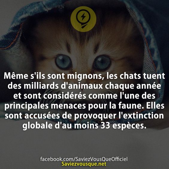Même s&#039;ils sont mignons, les chats tuent des milliards d&#039;animaux chaque année et sont considérés comme l&#039;une des principales menaces pour la faune. Elles sont accusées de provoquer l&#039;extinction globale d&#039;au moins 33 espèces.