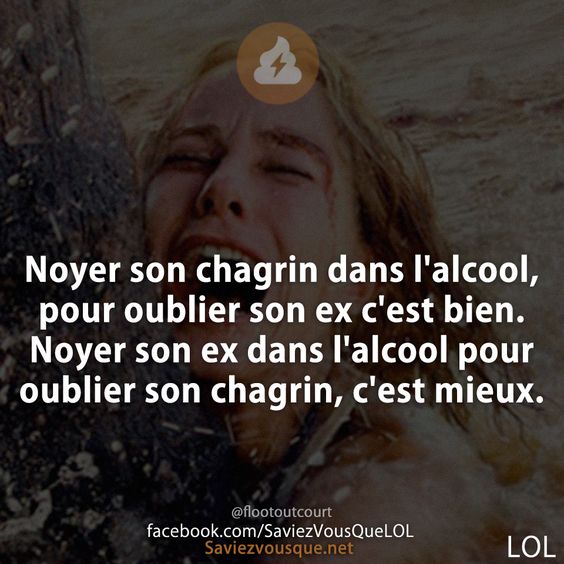 Noyer son chagrin dans l&#039;alcool, pour oublier son ex c&#039;est bien. Noyer son ex dans l&#039;alcool pour oublier son chagrin, c&#039;est mieux.