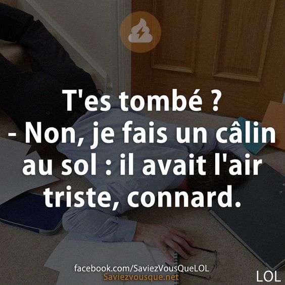 T&#039;es tombé ? - Non, je fais un câlin au sol : il avait l&#039;air triste, connard.