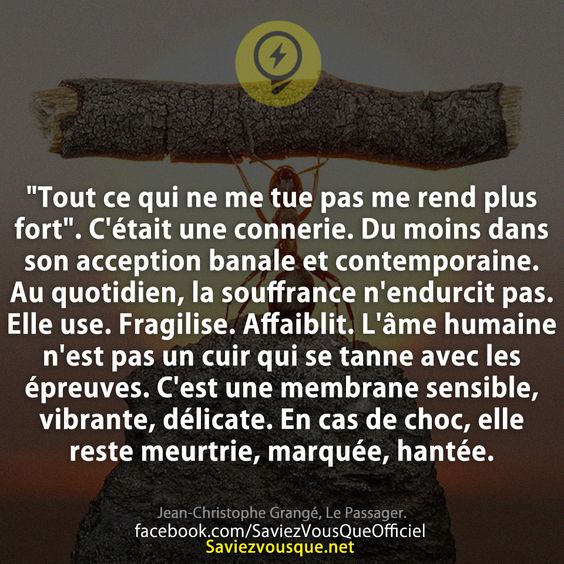 &quot;Tout ce qui ne me tue pas me rend plus fort&quot;. C&#039;était une connerie. Du moins dans son acception banale et contemporaine. Au quotidien, la souffrance n&#039;endurcit pas. Elle use. Fragilise. Affaiblit. L&#039;âme humaine n&#039;est pas un cuir qui se tanne avec les épreuves. C&#039;est une membrane sensible, vibrante, délicate. En cas de choc, elle reste meurtrie, marquée, hantée.