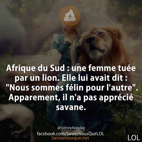 Afrique du Sud : une femme tuée par un lion. Elle lui avait dit : &quot;Nous sommes félin pour l&#039;autre&quot;. Apparement, il n&#039;a pas apprécié savane.