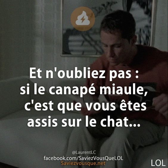 Et n&#039;oubliez pas : si le canapé miaule, c&#039;est que vous êtes assis sur le chat...