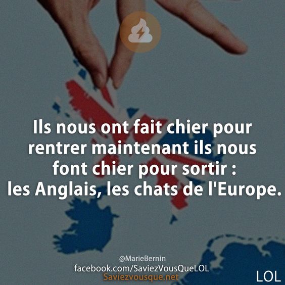 Ils nous ont fait chier pour rentrer maintenant ils nous font chier pour sortir : les Anglais, les chats de l&#039;Europe.
