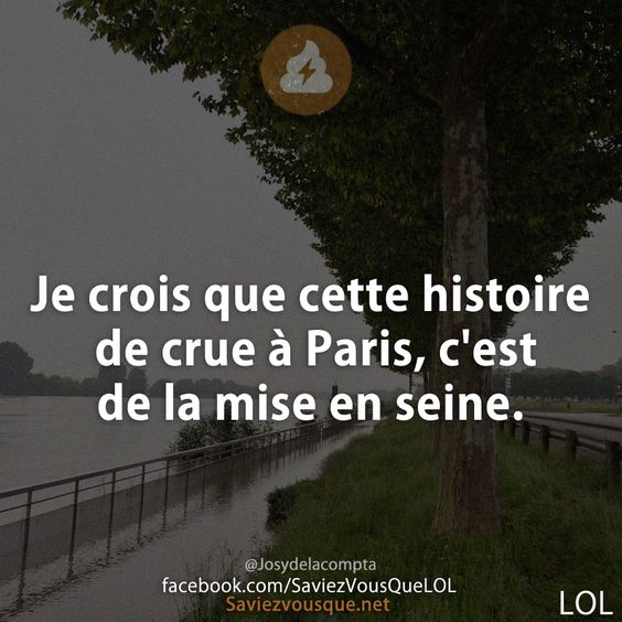Je crois que cette histoire de crue à Paris, c&#039;est de la mise en seine.
