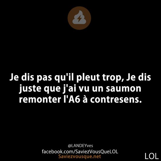 Je dis pas qu&#039;il pleut trop, Je dis juste que j&#039;ai vu un saumon remonter l&#039;A6 à contresens.