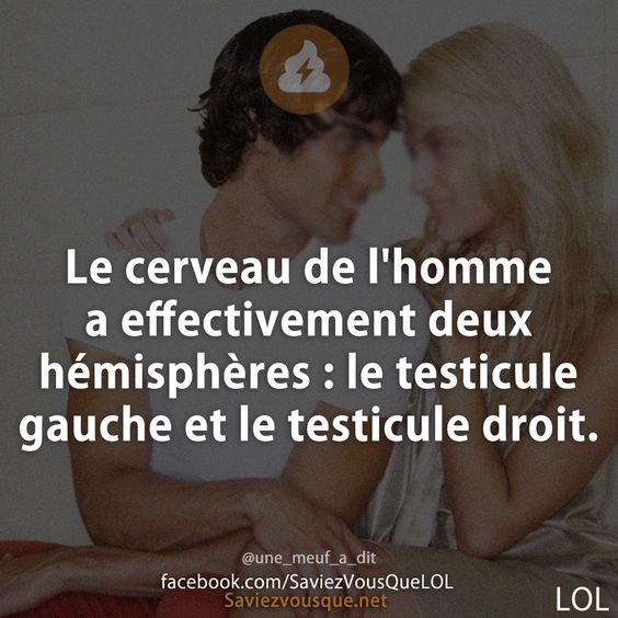 Le cerveau de l&#039;homme a effectivement deux hémisphères : le testicule gauche et le testicule droit.