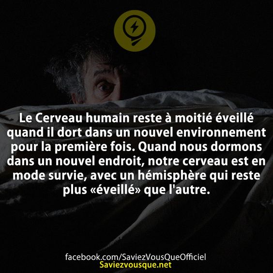 Le Cerveau humain reste à moitié éveillé quand il dort dans un nouvel environnement pour la première fois. Quand nous dormons dans un nouvel endroit, notre cerveau est en mode survie, avec un hémisphère qui reste plus «éveillé» que l&#039;autre.