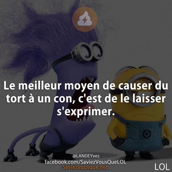 Le meilleur moyen de causer du tort à un con, c'est de le laisser s'exprimer.