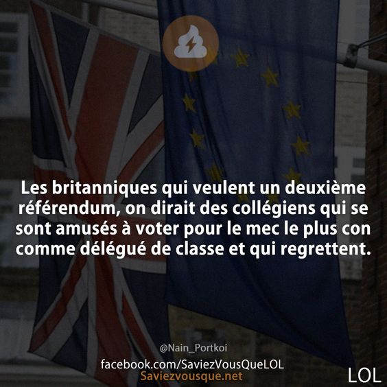 Les britanniques qui veulent un deuxième référendum, on dirait des collégiens qui se sont amusés à voter pour le mec le plus con comme délégué de classe et qui regrettent.