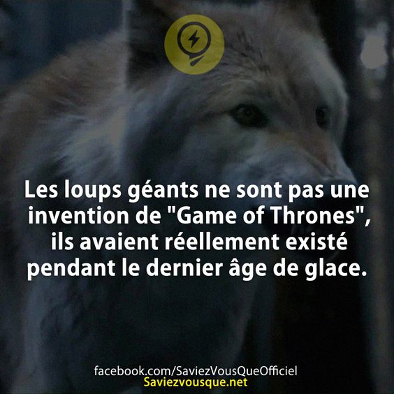 Les loups géants ne sont pas une invention de &quot;Game of Thrones&quot;, ils avaient réellement existé pendant le dernier âge de glace.
