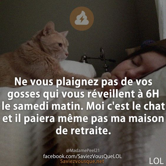 Ne vous plaignez pas de vos gosses qui vous réveillent à 6H le samedi matin. Moi c'est le chat et il paiera même pas ma maison de retraite.