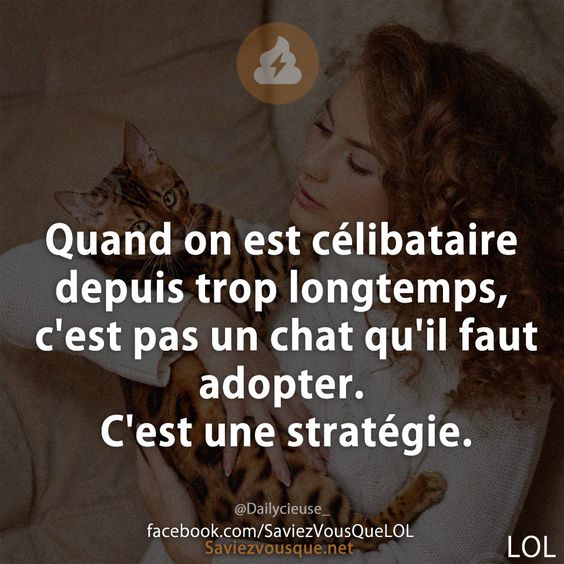 Quand on est célibataire depuis trop longtemps, c'est pas un chat qu'il faut adopter. C'est une stratégie.