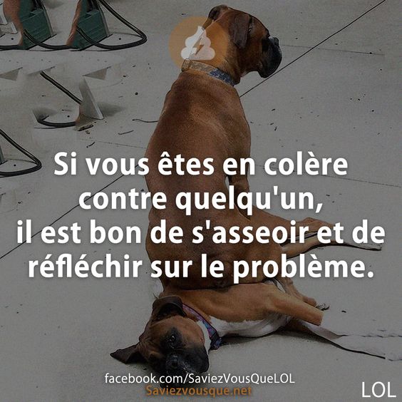 Si vous êtes en colère contre quelqu&#039;un, il est bon de s&#039;asseoir et de réfléchir sur le problème.