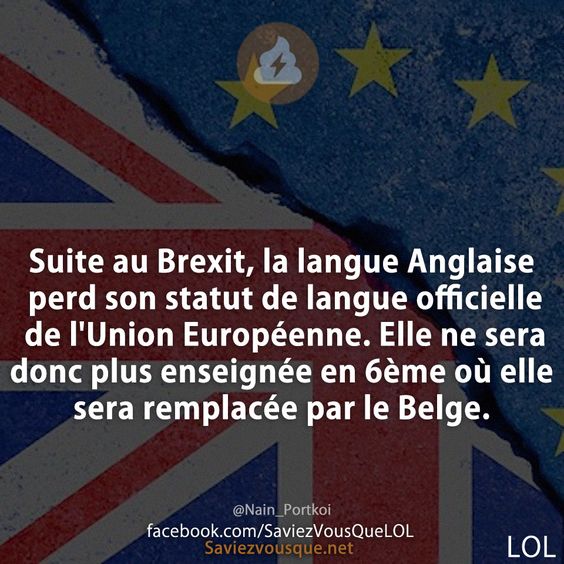 Suite au Brexit, la langue Anglaise perd son statut de langue officielle de l'Union Européenne. Elle ne sera donc plus enseignée en 6ème où elle sera remplacée par le Belge.
