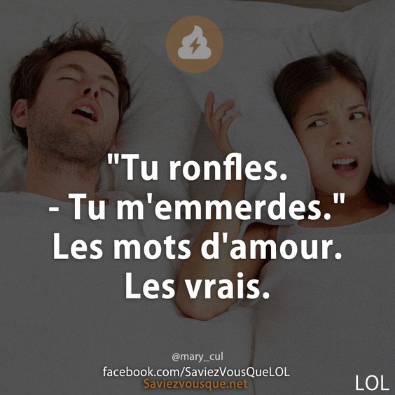 "Tu ronfles. - Tu m'emmerdes."  Les mots d'amour. Les vrais.