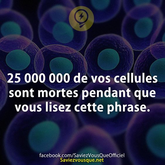25 000 000 de vos cellules sont mortes pendant que vous lisez cette phrase.