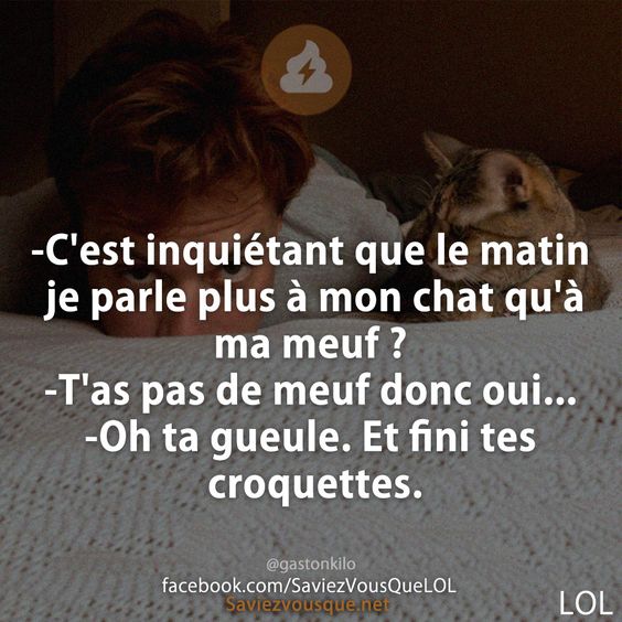 -C&#039;est inquiétant que le matin je parle plus à mon chat qu&#039;à ma meuf ? -T&#039;as pas de meuf donc oui... -Oh ta gueule. Et fini tes croquettes.-C&#039;est inquiétant que le matin je parle plus à mon chat qu&#039;à ma meuf ? -T&#039;as pas de meuf donc oui... -Oh ta gueule. Et fini tes croquettes.