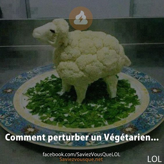 Comment perturber un Végétarien...