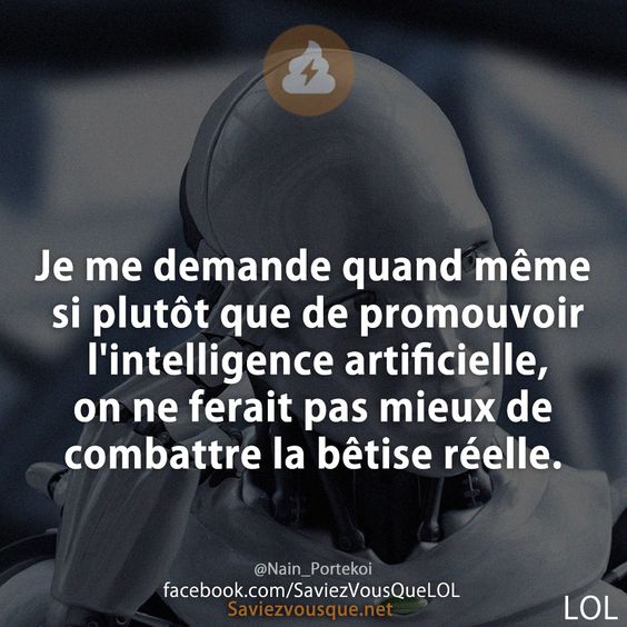 Je me demande quand même si plutôt que de promouvoir l&#039;intelligence artificielle, on ne ferait pas mieux de combattre la bêtise réelle.
