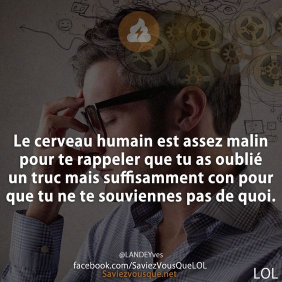 Le cerveau humain est assez malin pour te rappeler que tu as oublié un truc mais suffisamment con pour que tu ne te souviennes pas de quoi.