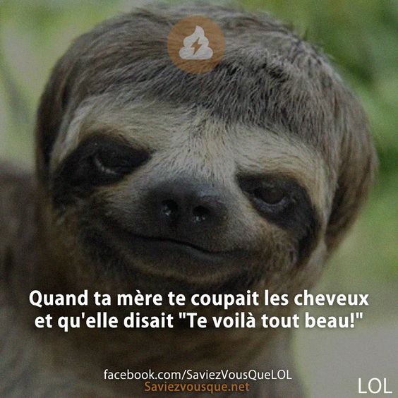 Quand ta mère te coupait les cheveux et qu'elle disait "Te voilà tout beau!"