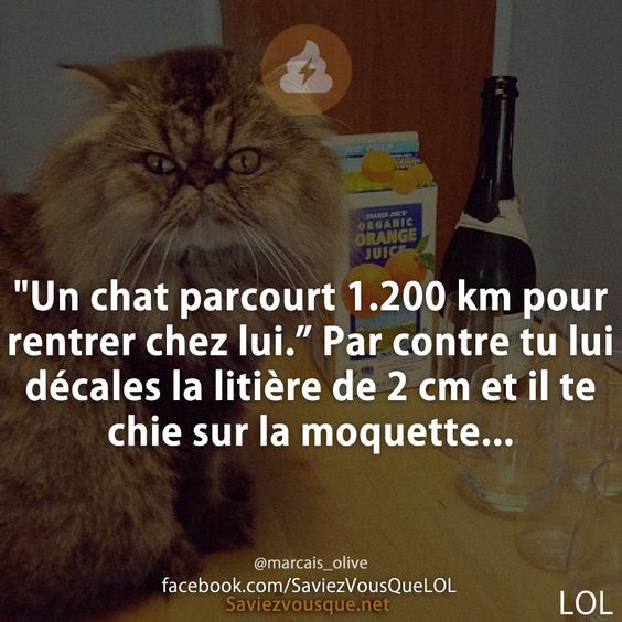 Une étude démontre que les valises des femmes sont composées de 58% de &quot;on ne sait jamais...&quot;.
