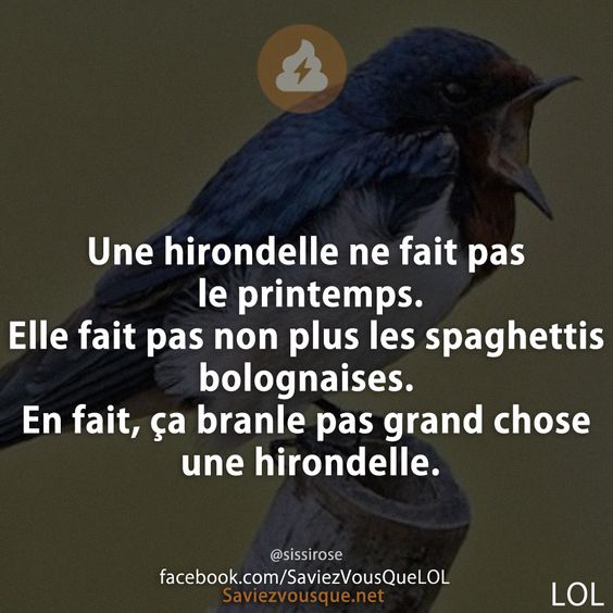Une hirondelle ne fait pas le printemps. Elle fait pas non plus les spaghettis bolognaises. En fait, ça branle pas grand chose une hirondelle.
