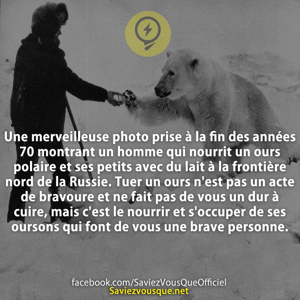 Une merveilleuse photo prise à la fin des années 70 montrant un homme qui nourrit un ours polaire et ses petits avec du lait à la frontière nord de la Russie. Tuer un ours n&#039;est pas un acte de bravoure et ne fait pas de vous un dur à cuire, mais c&#039;est le nourrir et s&#039;occuper de ses oursons qui font de vous une brave personne.