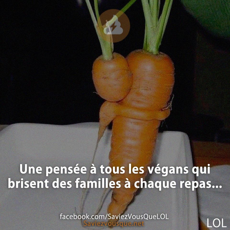 Une pensée à tous les végans qui brisent des familles à chaque repas ...