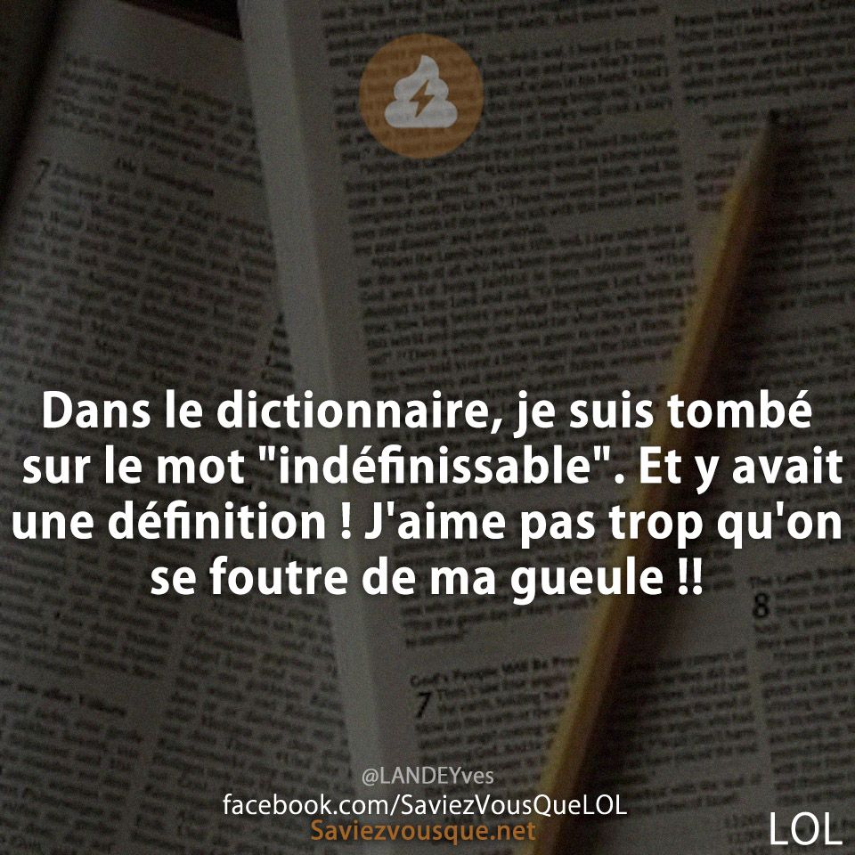Dans le dictionnaire, je suis tombé sur le mot &quot;indéfinissable&quot;. Et y avait une définition ! J&#039;aime pas trop qu&#039;on se foutre de ma gueule !!