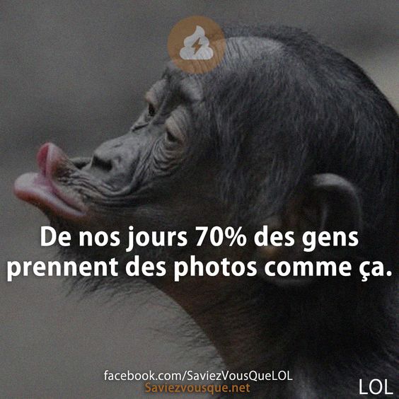 De nos jours 70% des gens prennent des photos comme ça.