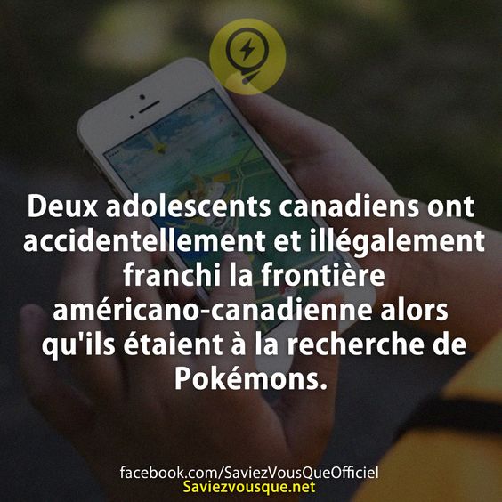 Deux adolescents canadiens ont accidentellement et illégalement franchi la frontière américano-canadienne alors qu&#039;ils étaient à la recherche de Pokémons.