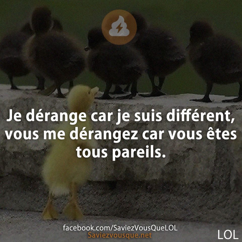 Je dérange car je suis différent, vous me dérangez car vous êtes tous pareils.
