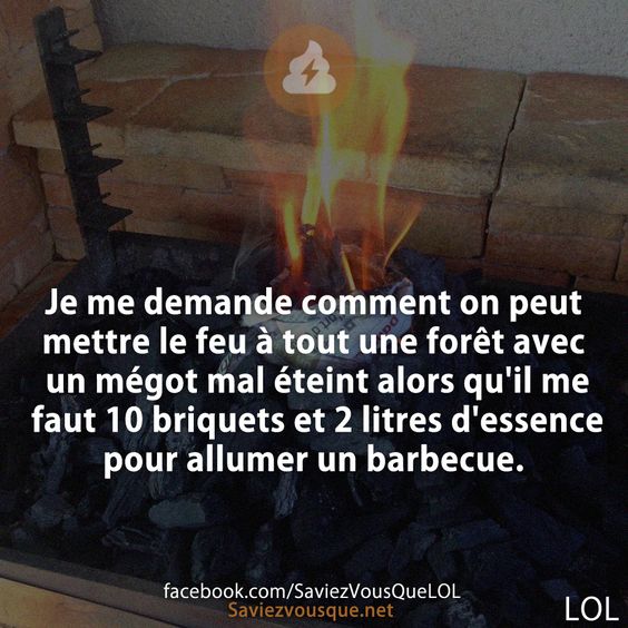 Je me demande comment on peut mettre le feu à tout une forêt avec un mégot mal éteint alors qu'il me faut 10 briquets et 2 litres d'essence pour allumer un barbecue.