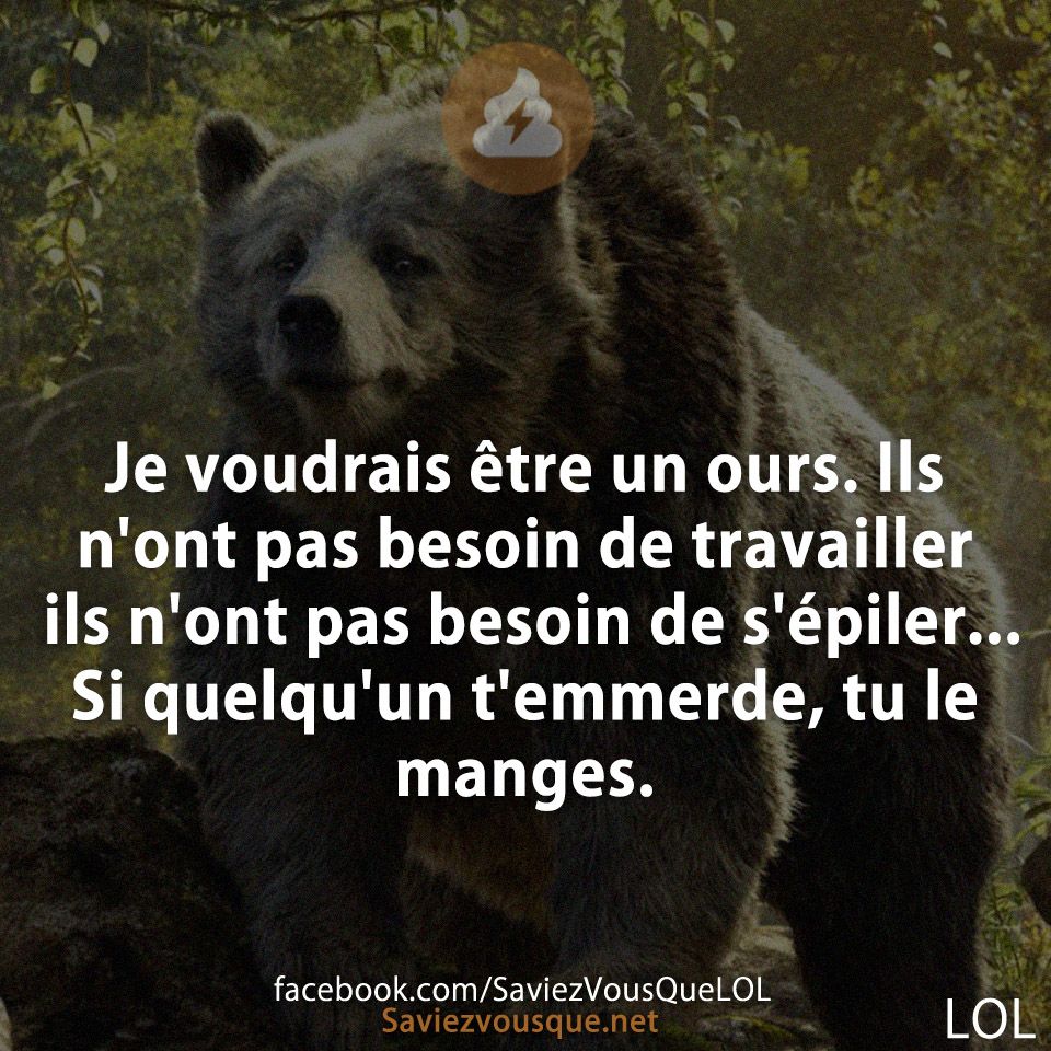 Je voudrais être un ours. Ils n&#039;ont pas besoin de travailler ils n&#039;ont pas besoin de s&#039;épiler... Si quelqu&#039;un t&#039;emmerde, tu le manges.
