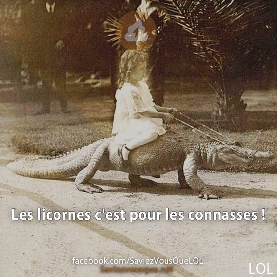 Les licornes c&#039;est pour les connasses !