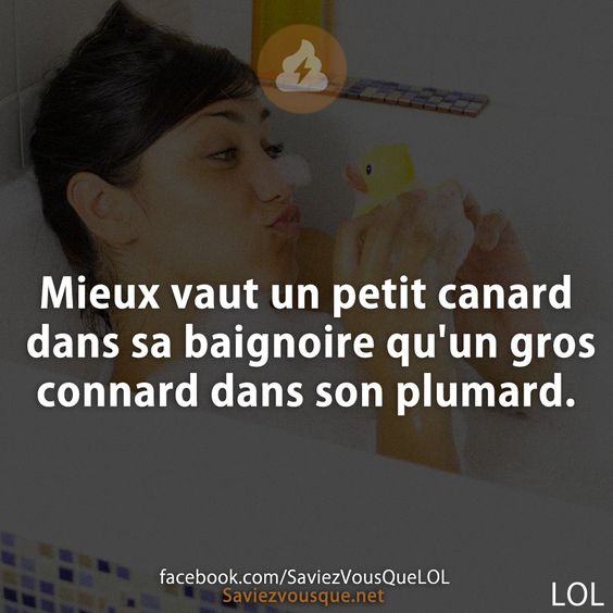 Mieux vaut un petit canard dans sa baignoire qu&#039;un gros connard dans son plumard.