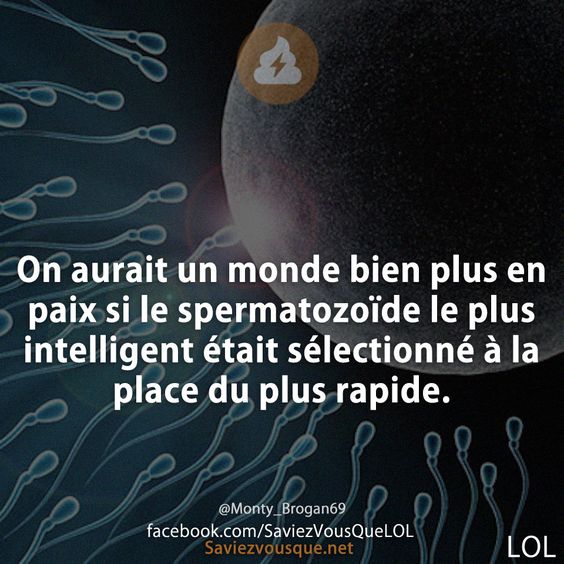 On aurait un monde bien plus en paix si le spermatozoïde le plus intelligent était sélectionné à la place du plus rapide.