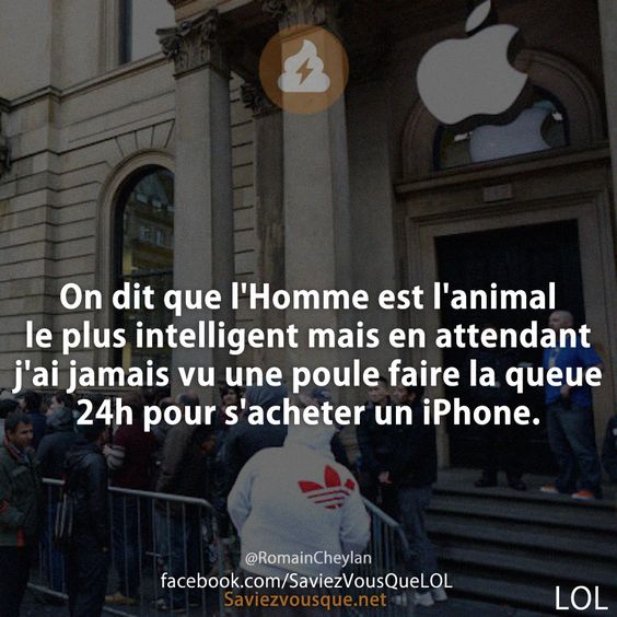 On dit que l'Homme est l'animal le plus intelligent mais en attendant j'ai jamais vu une poule faire la queue 24h pour s'acheter un iPhone.
