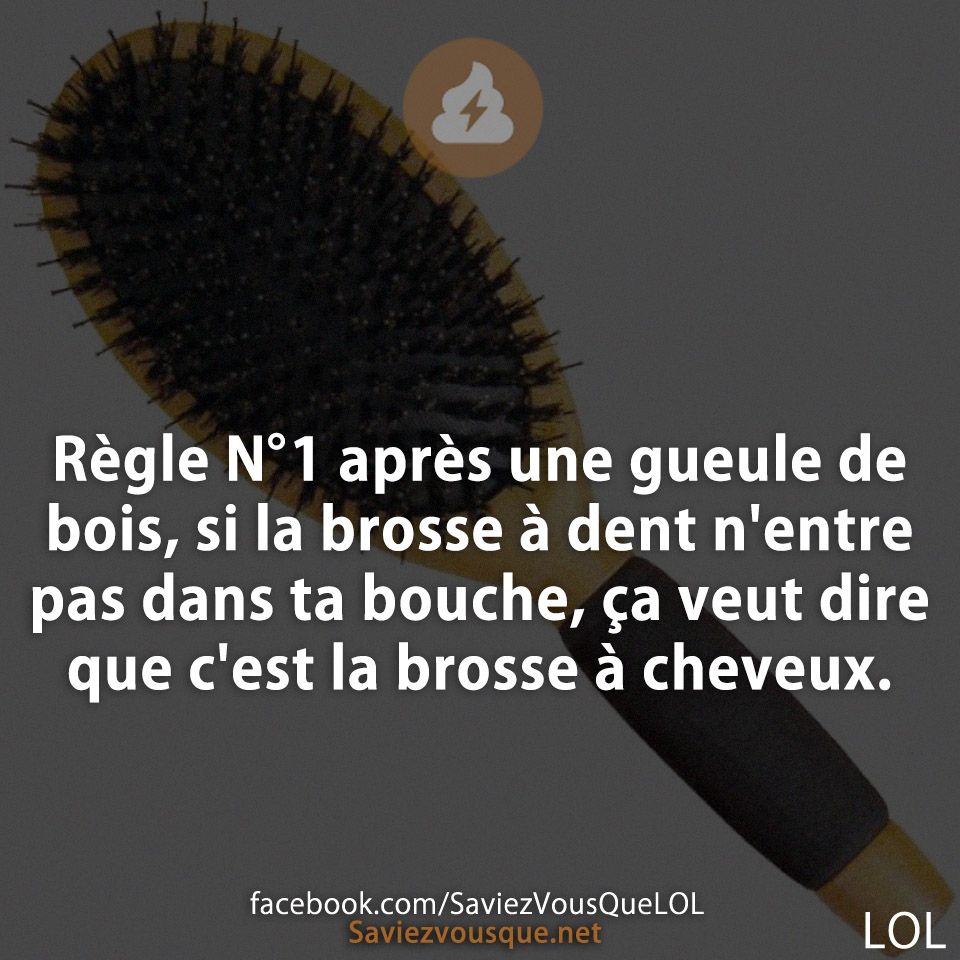 Règle N°1 après une gueule de bois, si la brosse à dent n&#039;entre pas dans ta bouche, ça veut dire que c&#039;est la brosse à cheveux.
