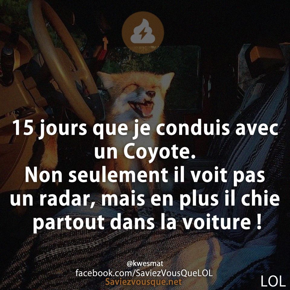 15 jours que je conduis avec un Coyote. Non seulement il voit pas un radar, mais en plus il chie partout dans la voiture !
