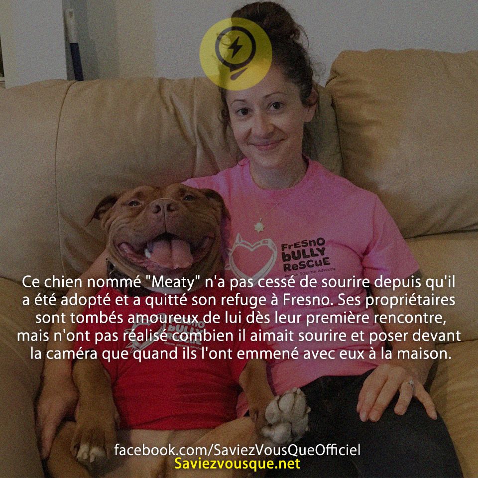 Ce chien nommé &quot;Meaty&quot; n&#039;a pas cessé de sourire depuis qu&#039;il a été adopté et a quitté son refuge à Fresno. Ses propriétaires sont tombés amoureux de lui dès leur première rencontre, mais n&#039;ont pas réalisé combien il aimait sourire et poser devant la caméra que quand ils l&#039;ont emmené avec eux à la maison.