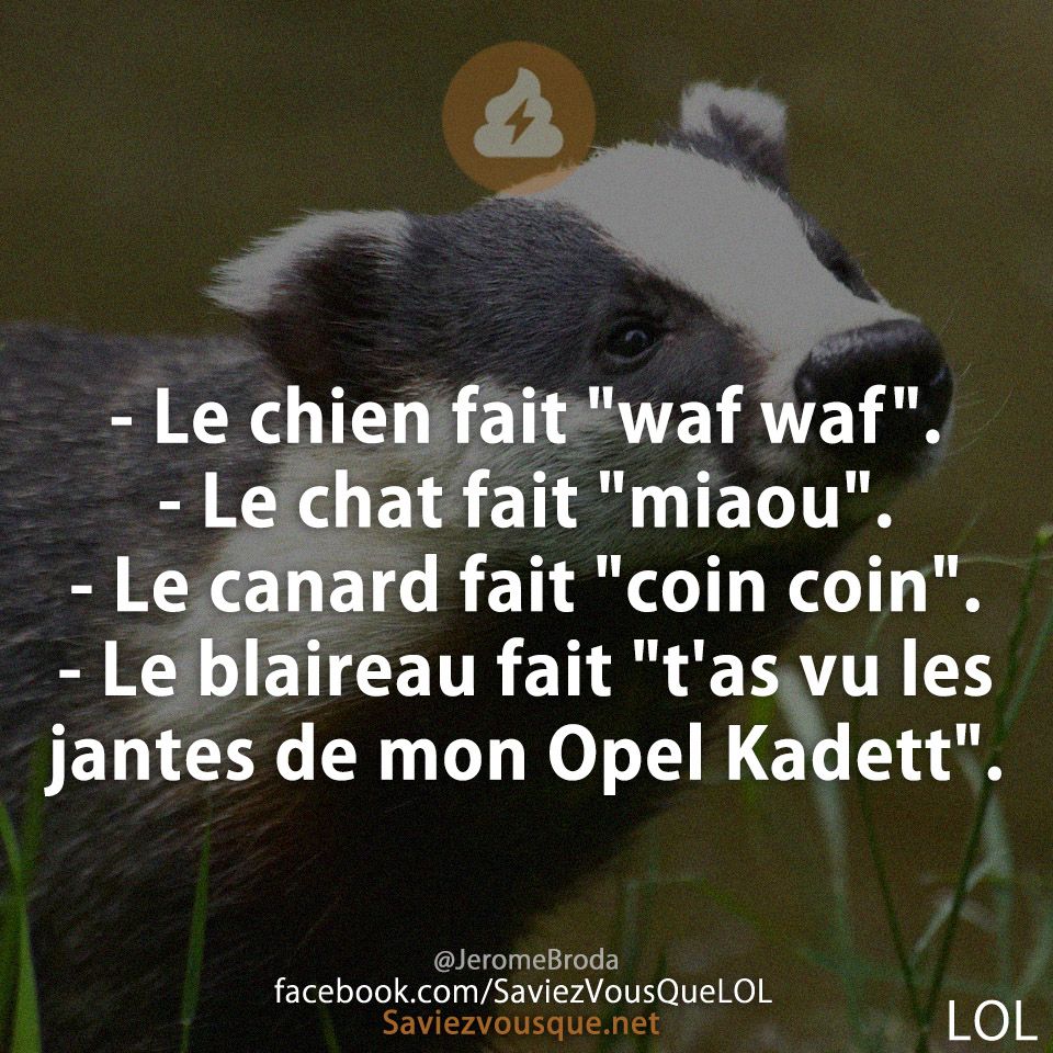 - Le chien fait &quot;waf waf&quot;. - Le chat fait &quot;miaou&quot;. - Le canard fait &quot;coin coin&quot;. - Le blaireau fait &quot;t&#039;as vu les jantes de mon Opel Kadett&quot;.