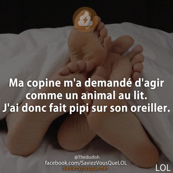 Ma copine m'a demandé d'agir comme un animal au lit. J'ai donc fait pipi sur son oreiller.
