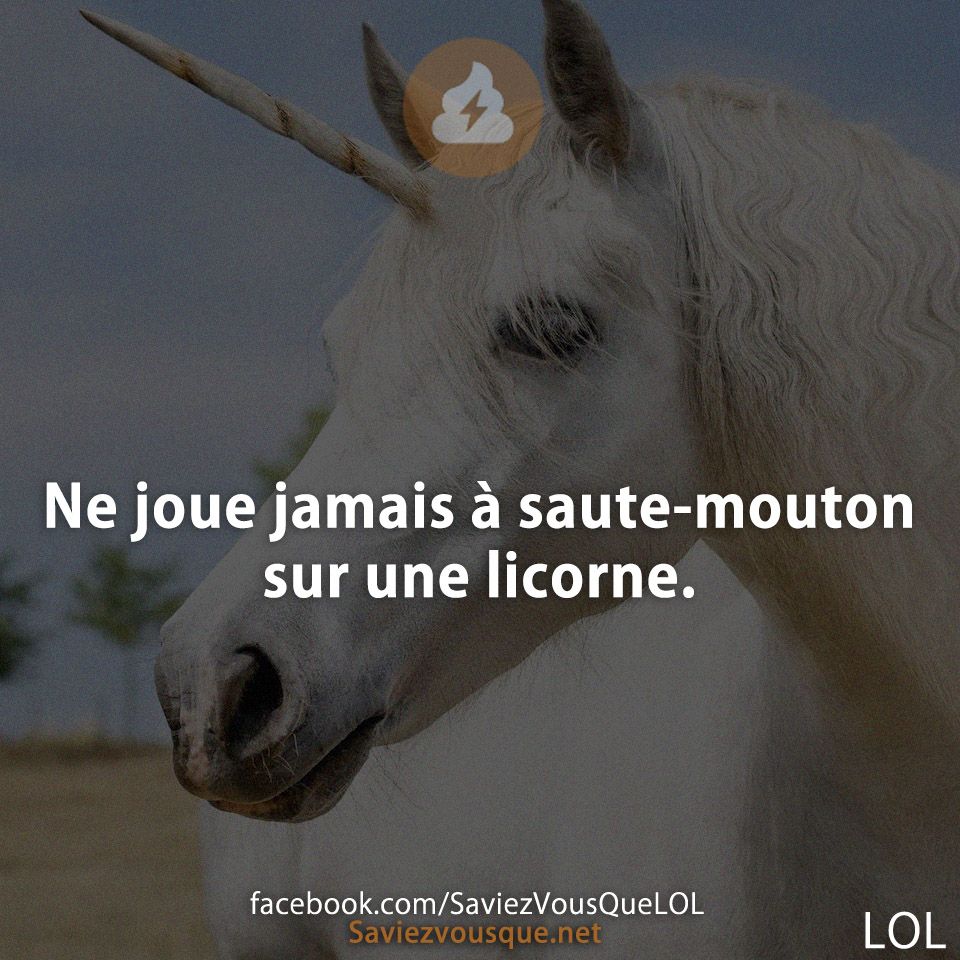 Ne joue jamais à saute-mouton sur une licorne.